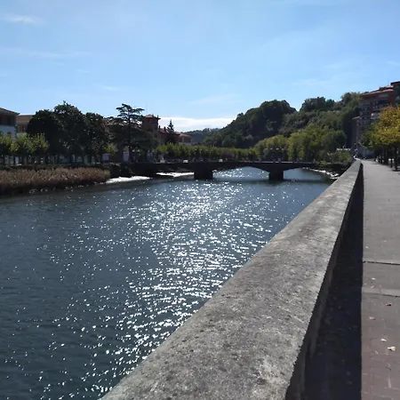 旅馆 Balea *